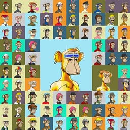Bored Ape Server